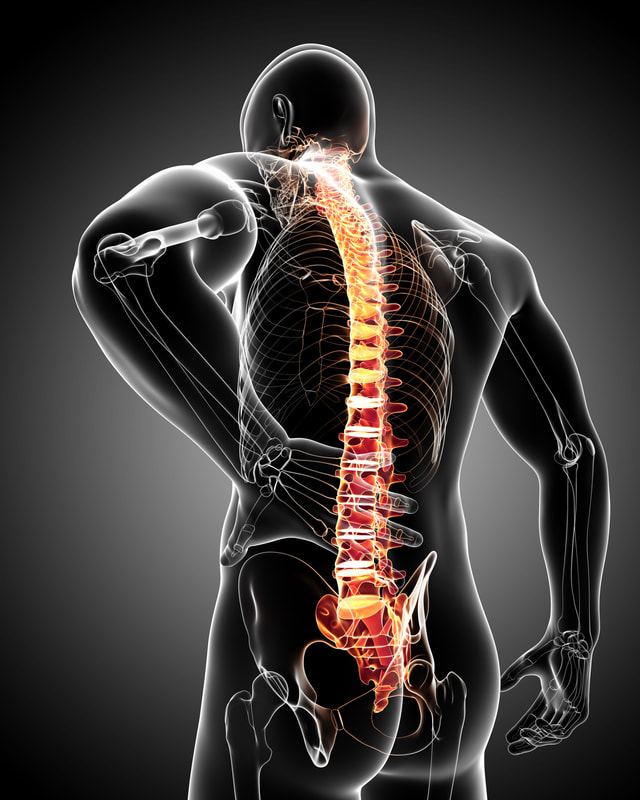 Outline of a man holding his lower back in pain, skeleton visible like an X-ray, spine highlighted in red and orange