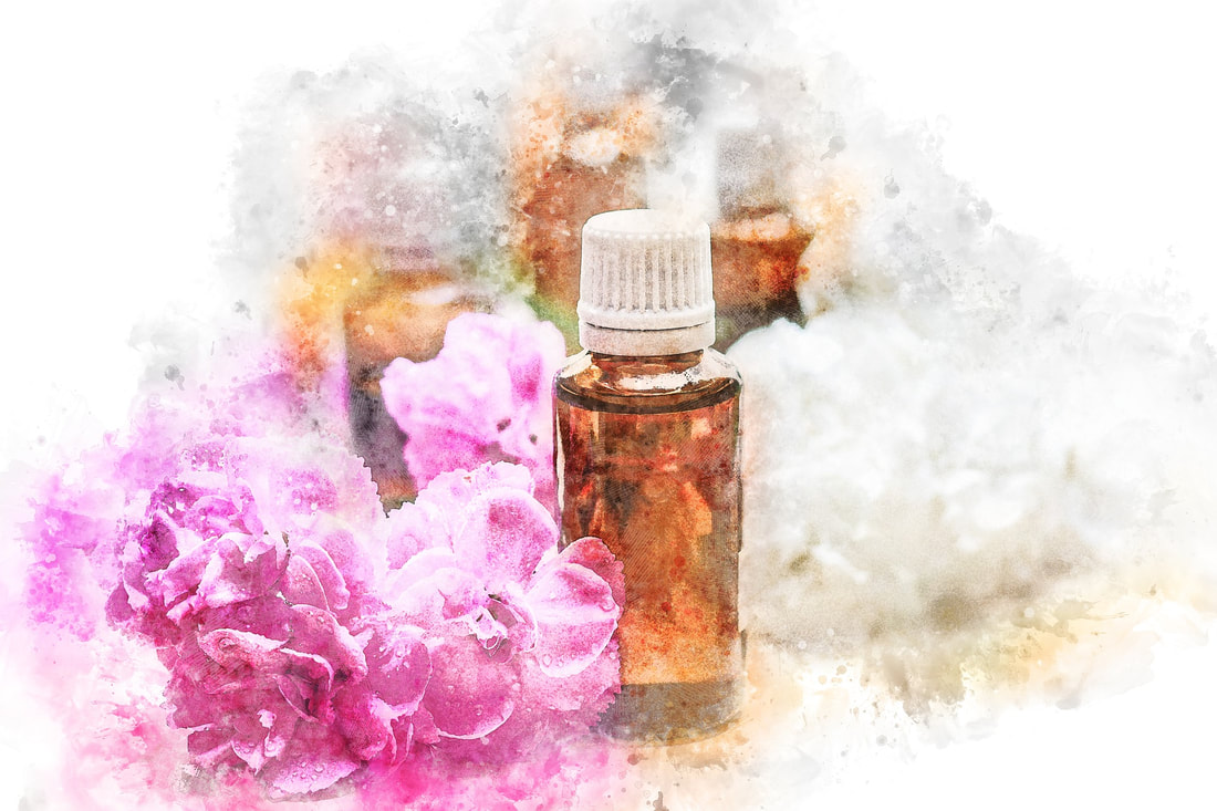 Watercolour of bottles of essential oils with pink flowers placed decoratively next to them